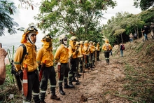 Bomberos de Cali viajan a Chile para solidarizarse con las brigadas que combaten incendios forestales