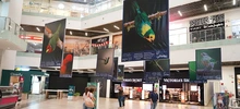 Majestuosas fotografías hacen presencia en el primer encuentro de ‘Cali,  Ciudad de las Aves’
