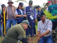El ‘Bosque de los Estudiantes’: 7000 árboles con pasión juvenil por Cali