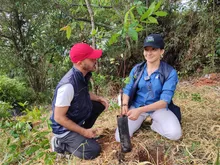 El ‘Bosque de los Estudiantes’: 7000 árboles con pasión juvenil por Cali