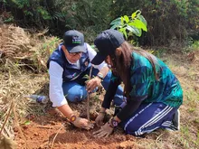 El ‘Bosque de los Estudiantes’: 7000 árboles con pasión juvenil por Cali