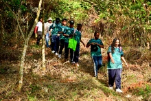El ‘Bosque de los Estudiantes’: 7000 árboles con pasión juvenil por Cali