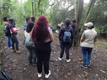 La naturaleza se disfruta en el 1er Encuentro Cali Ciudad de las Aves