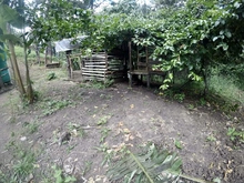 Comité de invasiones entregó querella para que se restituyan predios en los Farallones de Cali