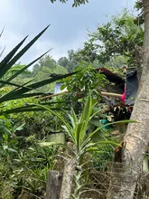 Comité de invasiones entregó querella para que se restituyan predios en los Farallones de Cali