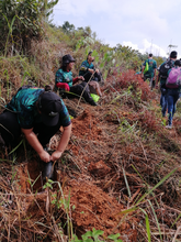 Con la siembra de 2576 árboles avanza El Bosque de los Estudiantes