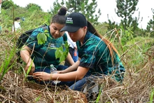 Con la siembra de 2576 árboles avanza El Bosque de los Estudiantes