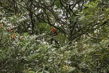 Ecoparque Bataclán: la Sucursal del Cielo para las aves