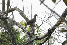 Ecoparque Bataclán: la Sucursal del Cielo para las aves