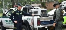 Centro de Bienestar Animal tendrá inspección de Policía para casos de maltrato