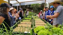 Este año, se fortalecerán 100 huertas más en los comedores comunitarios 
