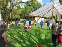 Este año, se fortalecerán 100 huertas más en los comedores comunitarios 