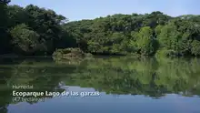 Cali, Ciudad Humedal