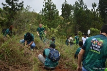 Continúa la conformación del Bosque de los Estudiantes