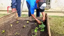 Comedores comunitarios de la comuna 21 tendrán oferta institucional este jueves