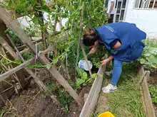 Comedores comunitarios de la comuna 21 tendrán oferta institucional este jueves