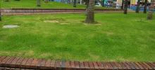Caleños disfrutarán de una Plaza de Cayzedo renovada 