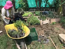 Participe en la entrega de las huertas urbanas en las comunas 8 y 15