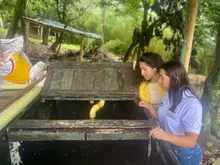 Montebello, un corregimiento donde se produce y comercializa abono orgánico