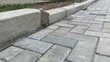 Guerreras de Infraestructura conmemoran el ‘Día Internacional de la Mujer’