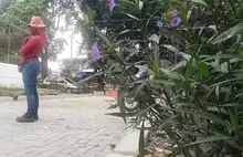 Guerreras de Infraestructura conmemoran el ‘Día Internacional de la Mujer’