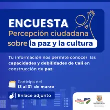 Mediante encuesta se consulta la opinión caleña en torno a la paz y la convivencia