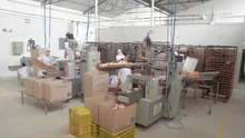 El PAE visitó procesadora para verificar calidad de los productos