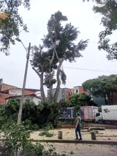 Dagma detecta nueva cuadrilla ilegal en el norte de Cali