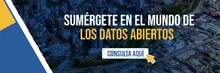 Banner Datos abiertos Exterior III