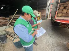 Operativos de control al tráfico de flora silvestre continúan dando resultados
