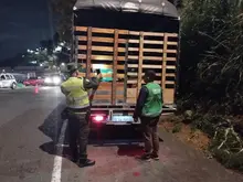 Operativos de control al tráfico de flora silvestre continúan dando resultados