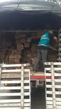 Operativos de control al tráfico de flora silvestre continúan dando resultados