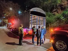 Operativos de control al tráfico de flora silvestre continúan dando resultados