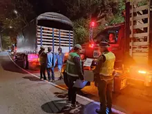 Operativos de control al tráfico de flora silvestre continúan dando resultados