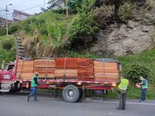 Operativos de control al tráfico de flora silvestre continúan dando resultados