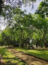 Cali, la ciudad de los 25 bosques urbanos