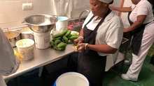 Nueve restaurantes de San Antonio lograron acreditarse con sello ambiental
