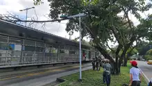 Este domingo, más de 15 cuadrillas liberarán a Cali de residuos vegetales