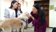 Liliana Sierra se posesionó como directora de la Unidad de Protección Animal