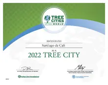 Cali es distinguida como una de las ‘Ciudades Árbol del Mundo’
