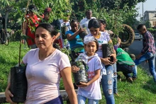 Cali es distinguida como una de las ‘Ciudades Árbol del Mundo’
