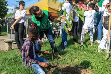 Cali es distinguida como una de las ‘Ciudades Árbol del Mundo’