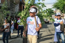 Cali es distinguida como una de las ‘Ciudades Árbol del Mundo’