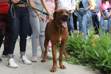 El primer día en familia, inició con un recorrido al Centro de Bienestar Animal