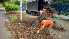 Fundaciones forestales retiraron 80 toneladas de residuos vegetales de corredores viales 