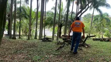 Fundaciones forestales retiraron 80 toneladas de residuos vegetales de corredores viales 