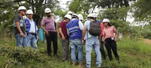 Empiezan a ser visibles los senderos de Cristo Rey 