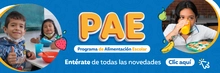Novedades del PAE
