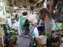 Dagma inicia operativos contra el tráfico de fauna y flora silvestre