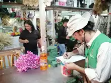 Dagma inicia operativos contra el tráfico de fauna y flora silvestre